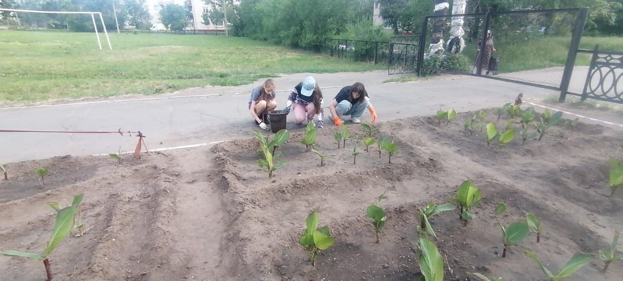 Летняя трудовая практика.